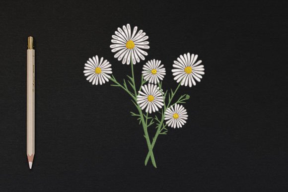 Flower Plant Embroidery Design Review