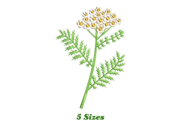 Yarrow Flower Embroidery Review